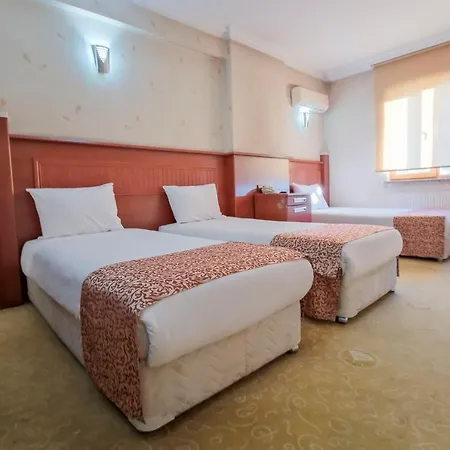 ホテル Konak Kayseri Hotel