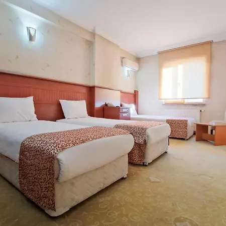 Konak Kayseri Hotel *