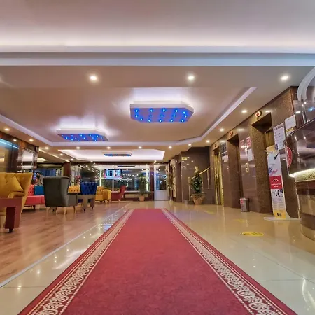 Konak Kayseri Hotel * カイセリ