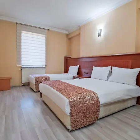 Konak Kayseri Hotel *