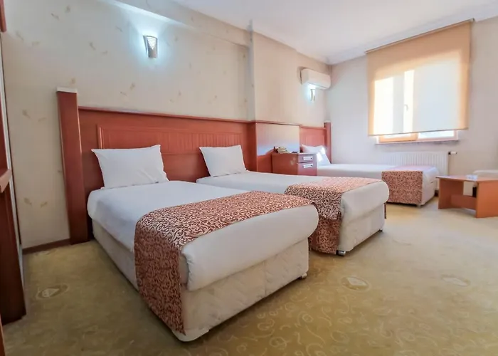 Hotel Konak Kayseri Hotel