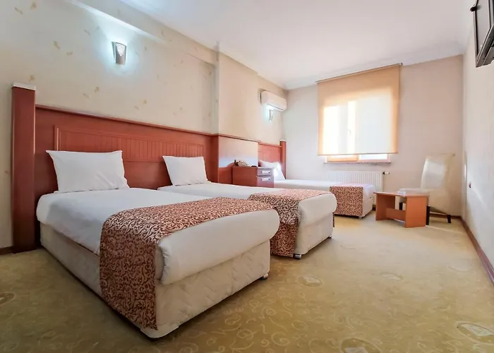 Konak Kayseri Hotel *