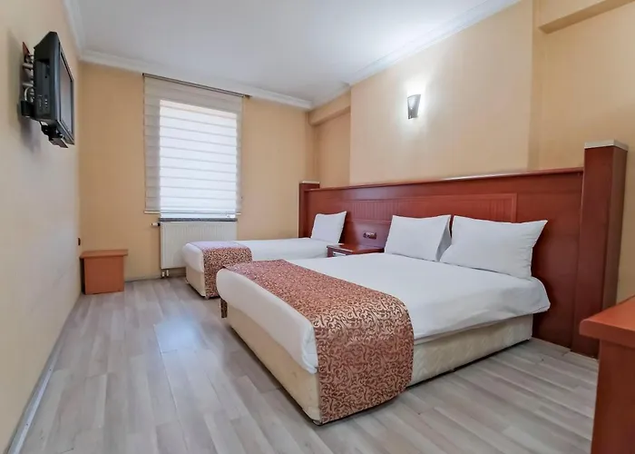 Konak Kayseri Hotel *